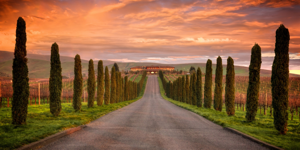 Luxurious and destination photographer writes about the best places to elope including places like Greece, Mexico, California, Hawaii, and Italy