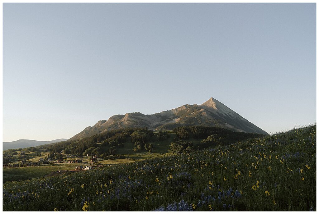 Colorado wedding photographer, Westward Up documents a couples proposal at Crested Butte.